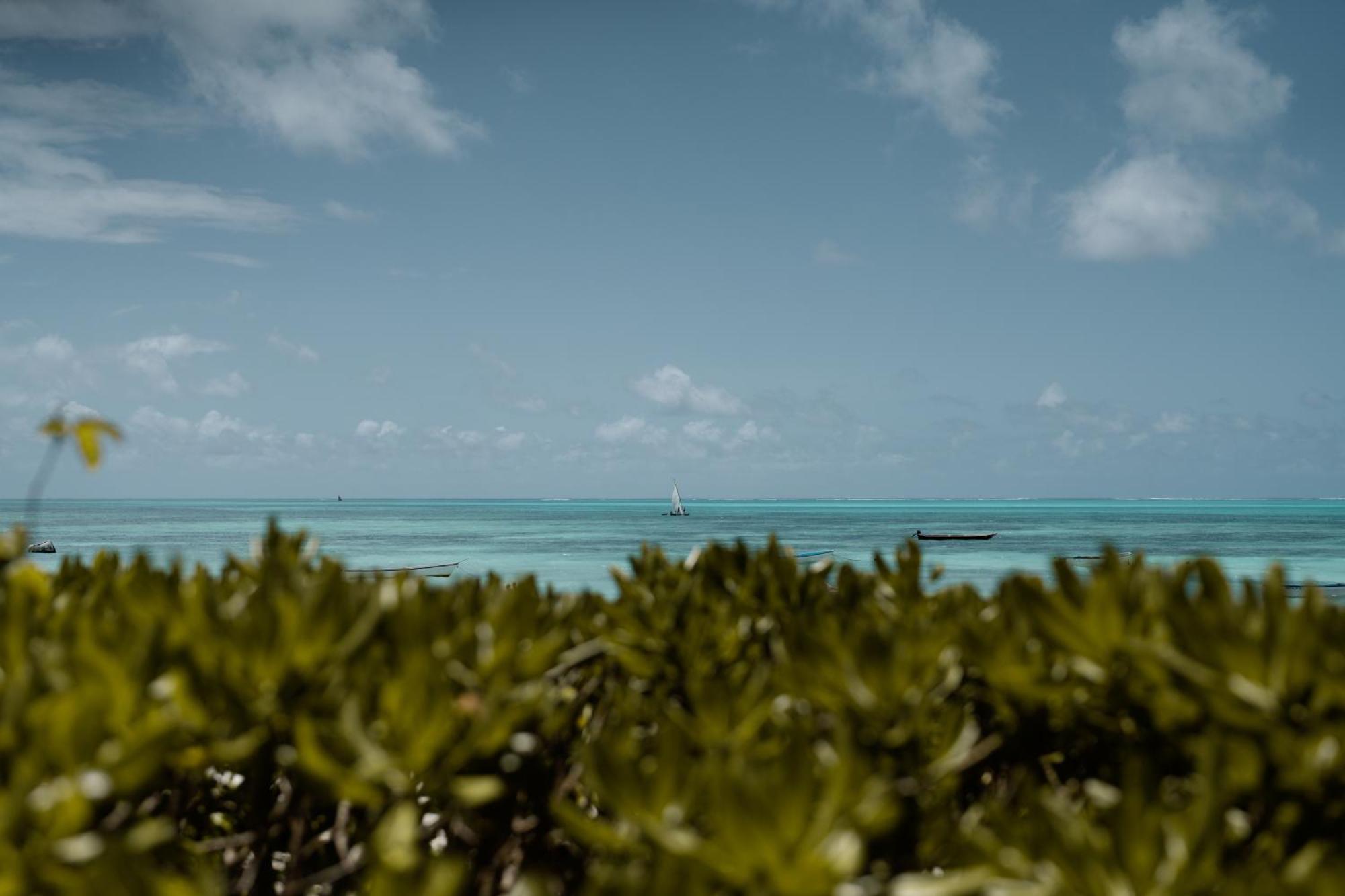 The Loop (adults Only) 2* Jambiani (Zanzibar)