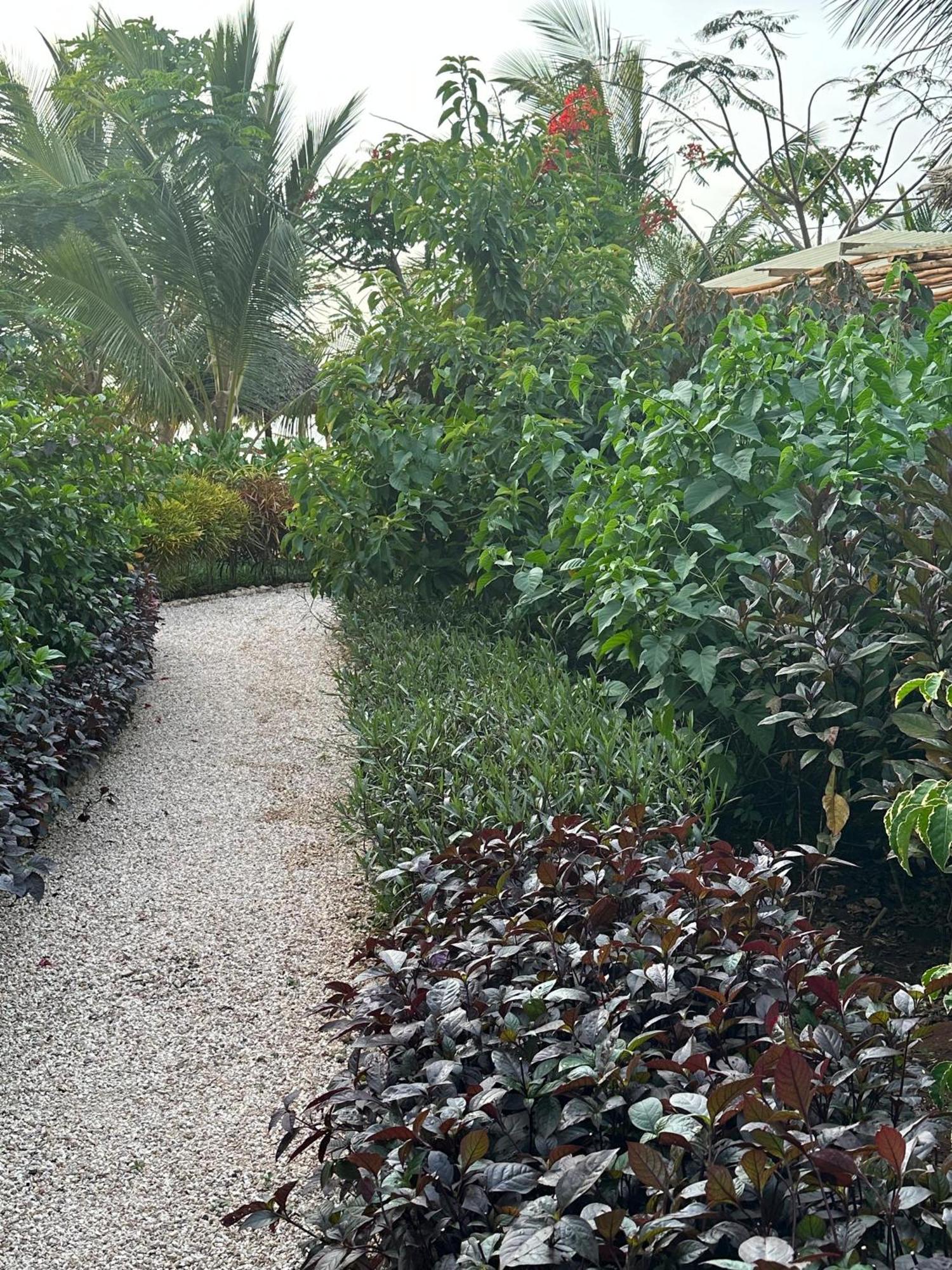 Bay Hotel Kidoti