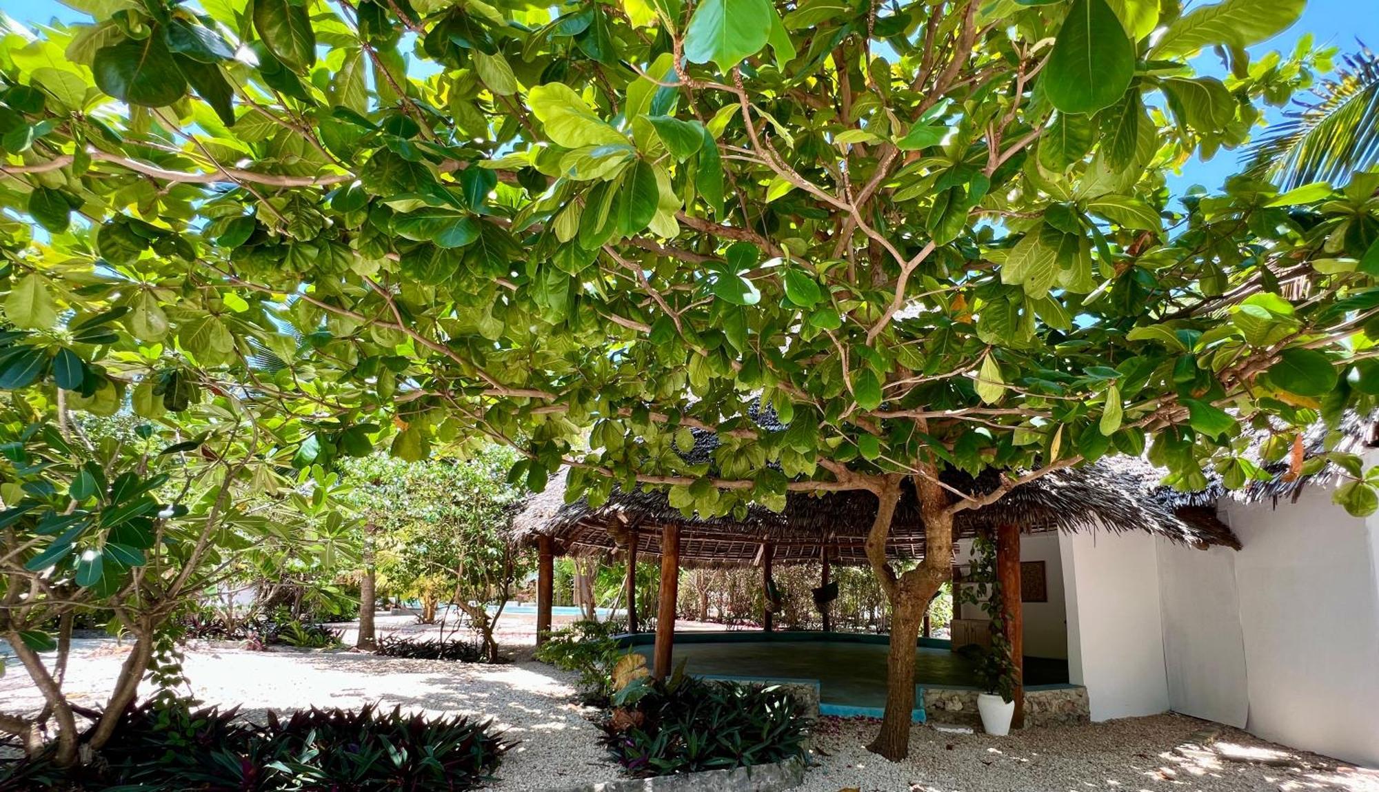 Sharazad Oasis Retreat Resort 4*