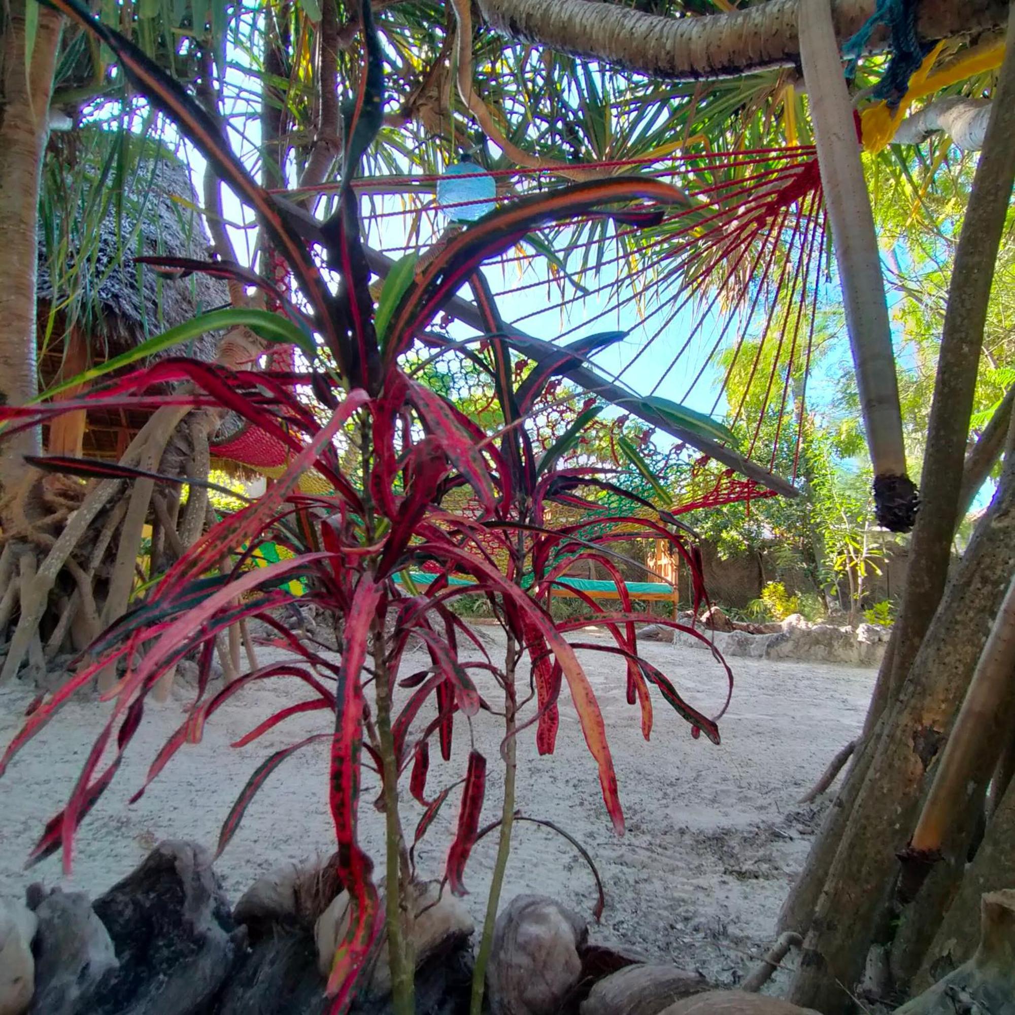 Eden Paradise Hotel 3*