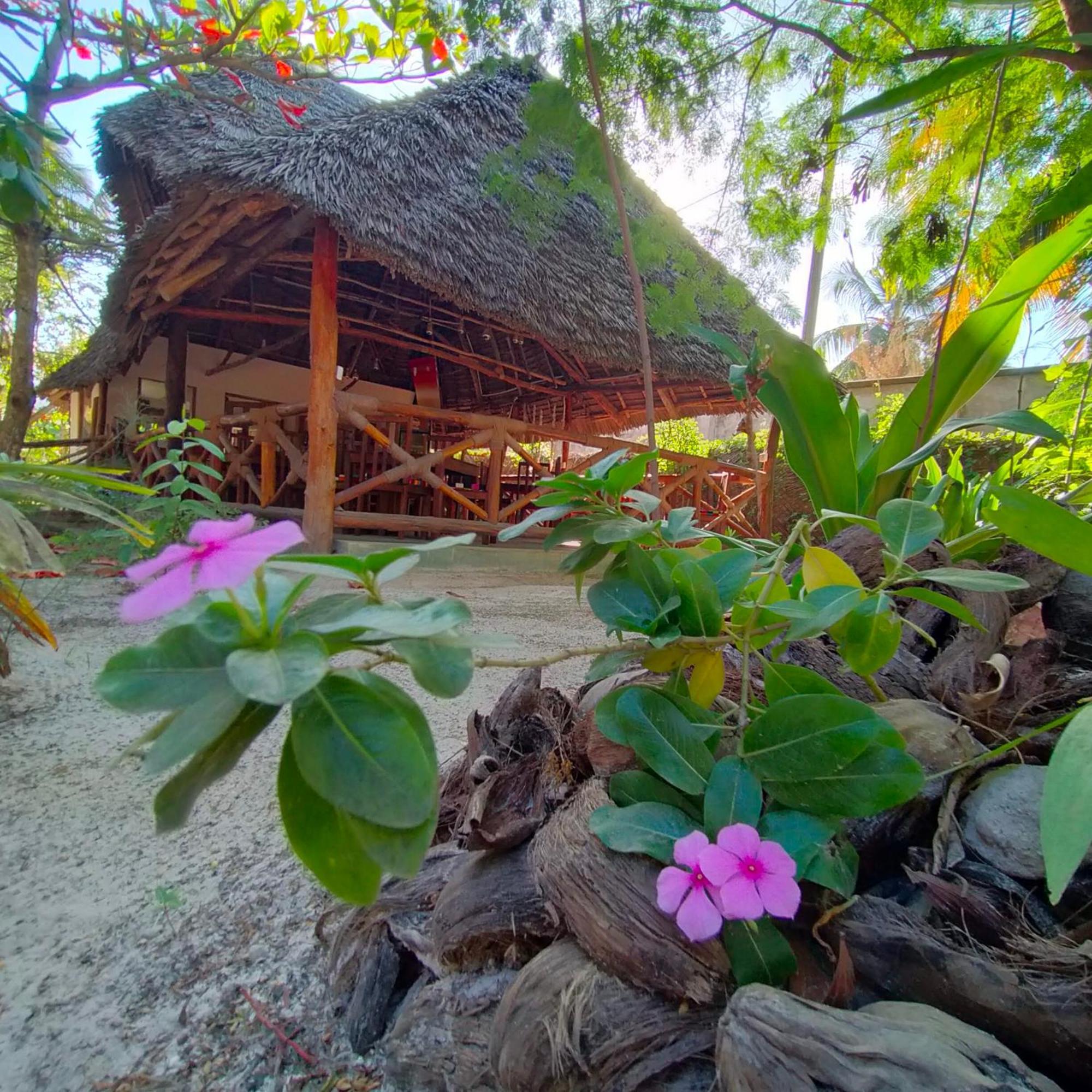 Eden Paradise 3* Michamvi Kae