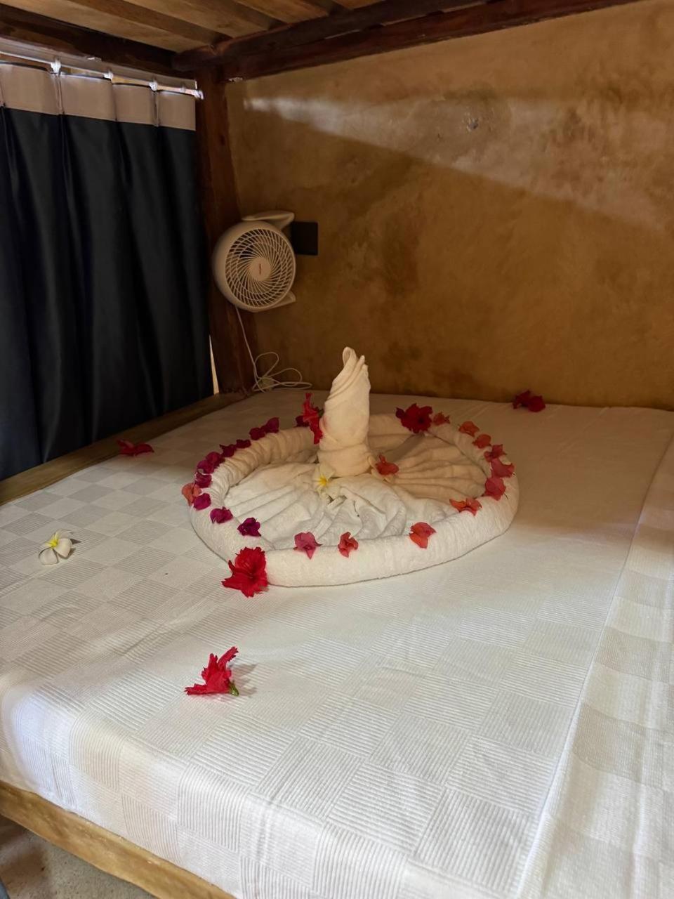 Compass Hostel *