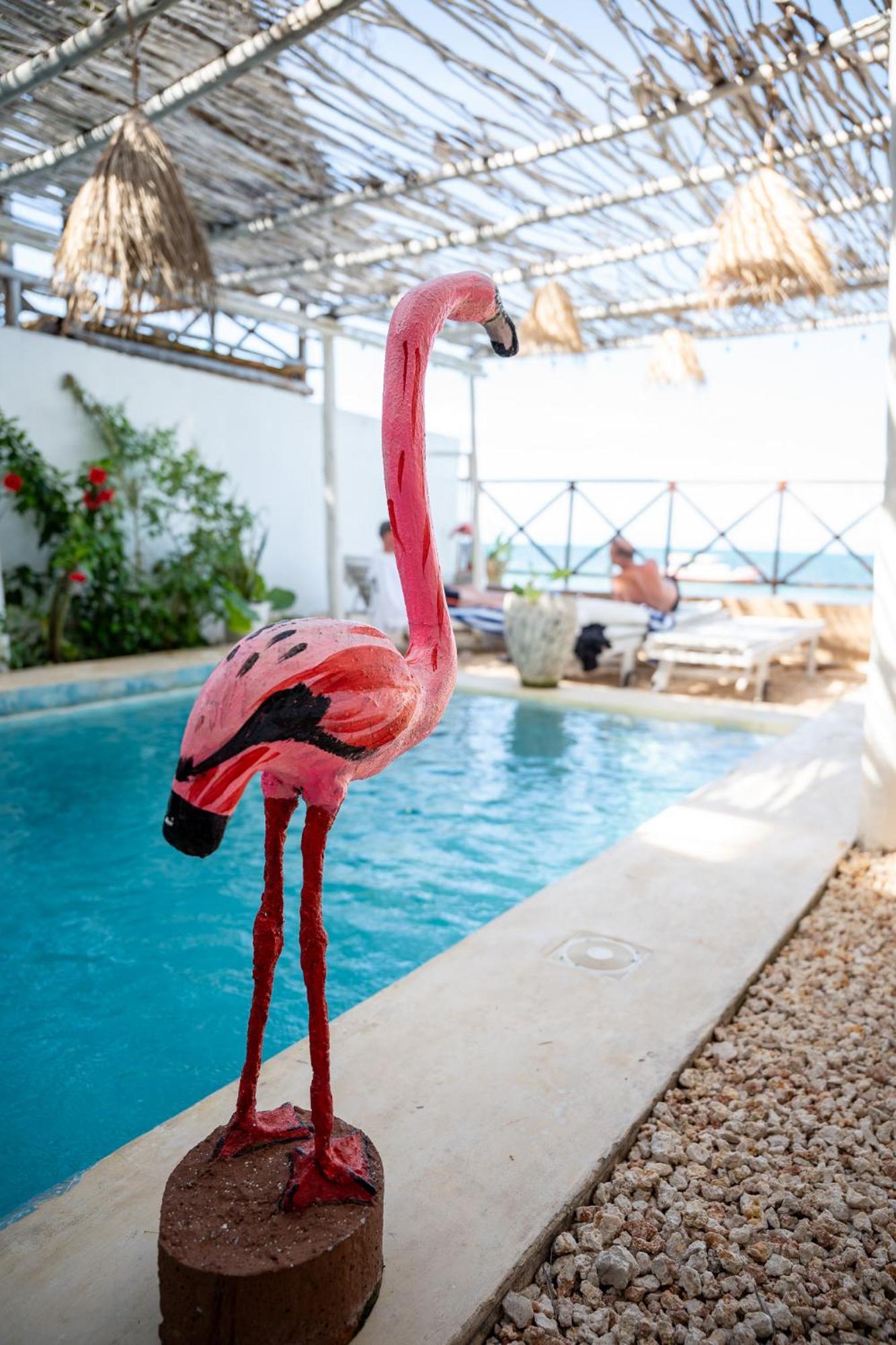 Pili Pili Boho Jambiani (Zanzibar)