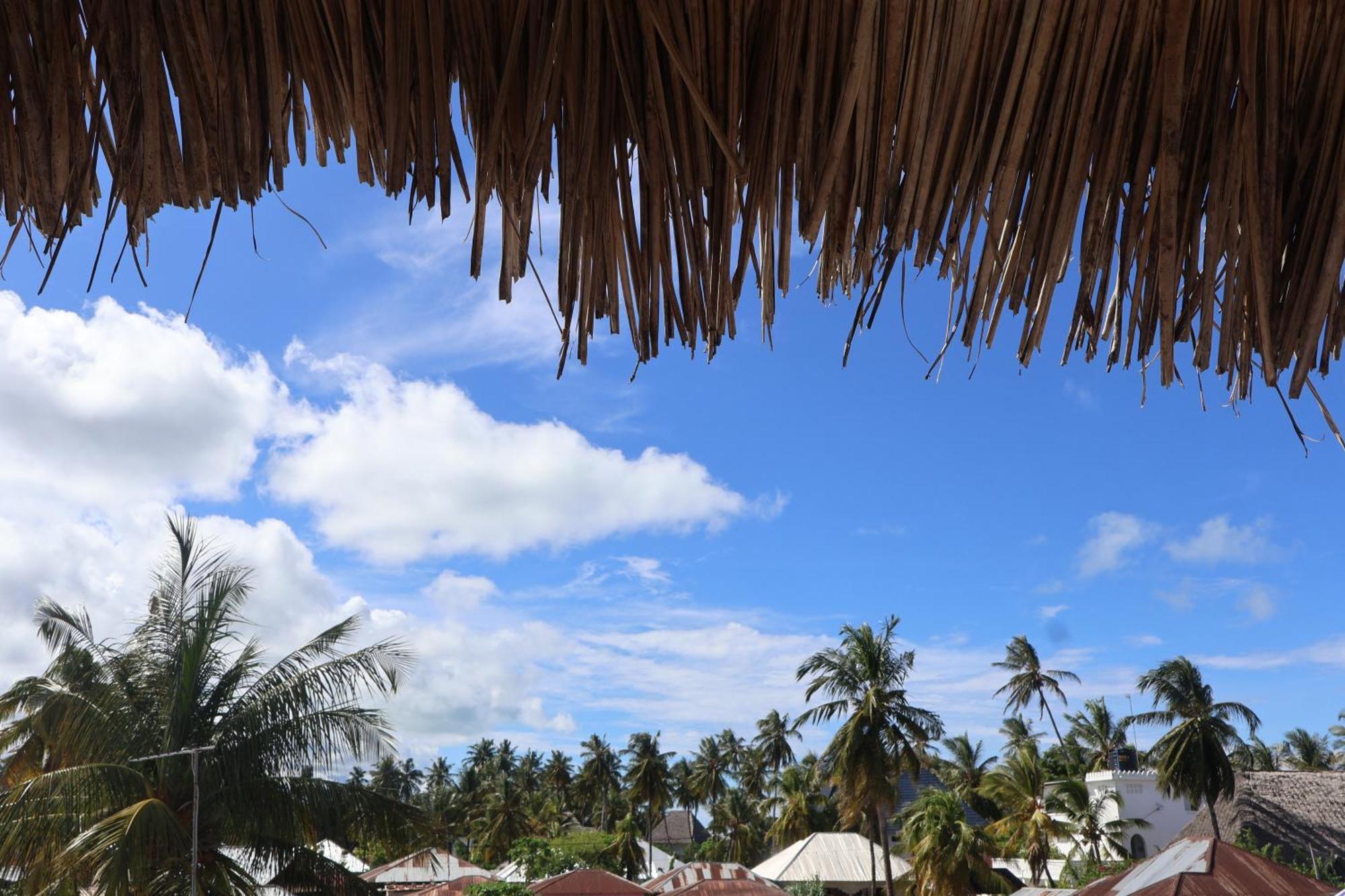 Gecko House Seaview * Jambiani (Zanzibar)
