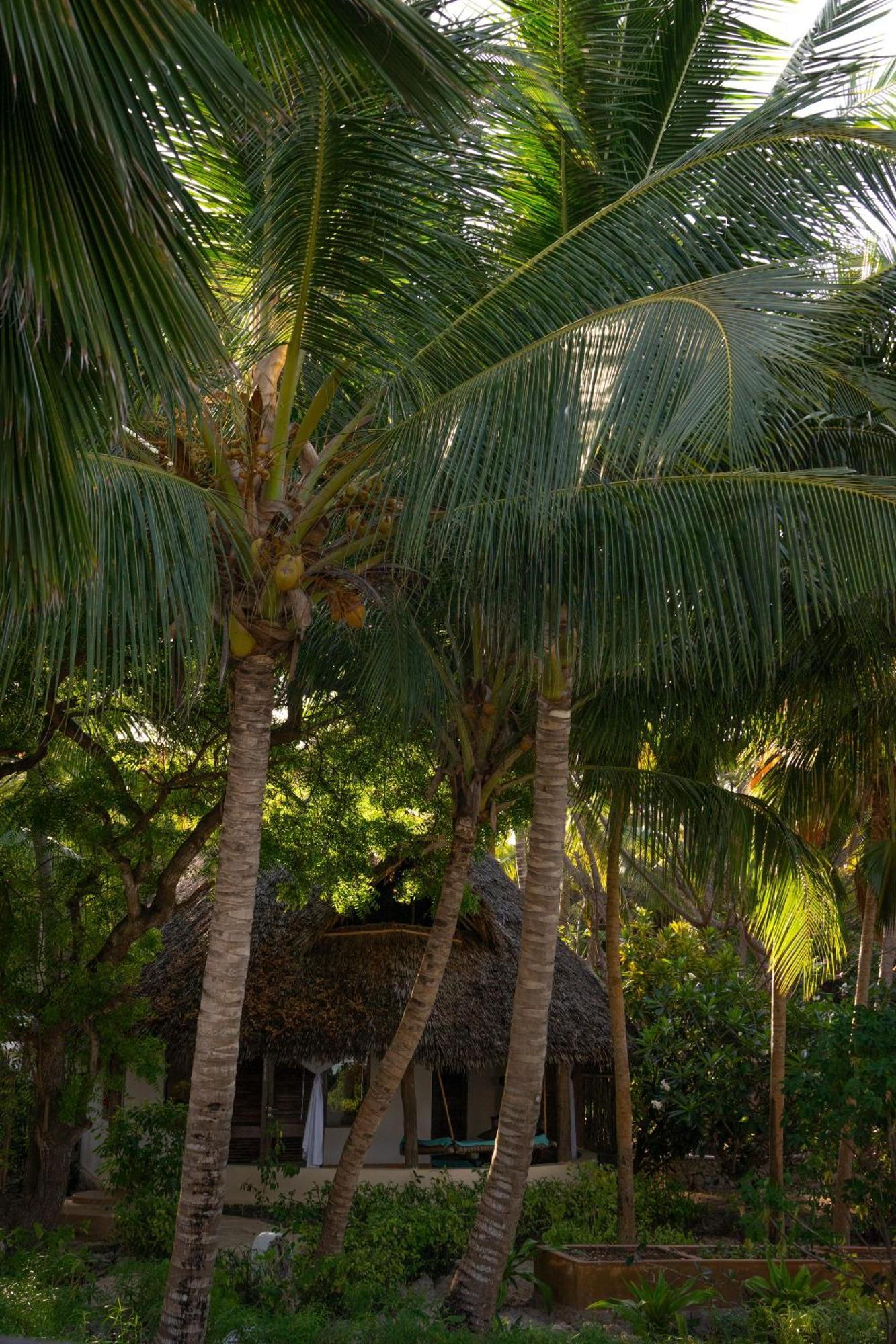 Hotel Sevi Boutique Kigomani