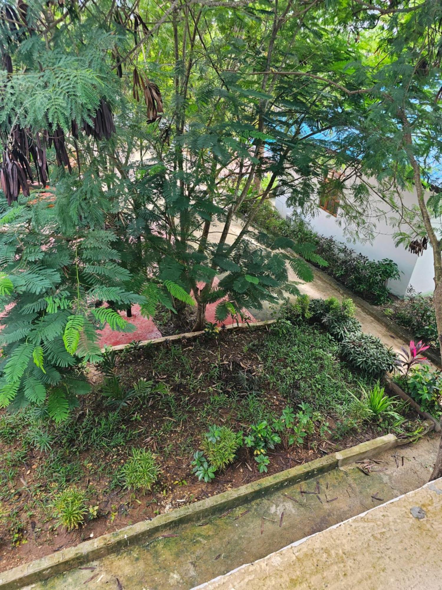 Kigwedeni Apartment Kinyasini