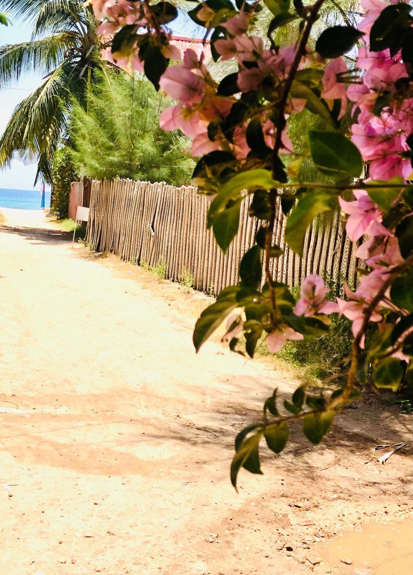 Casa Umoja 3* Nungwi