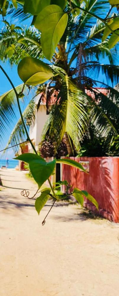 Casa Umoja Guest house 3*