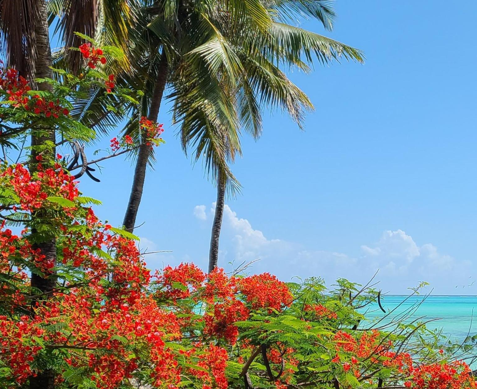 Mbaliparadise Jambiani (Zanzibar)
