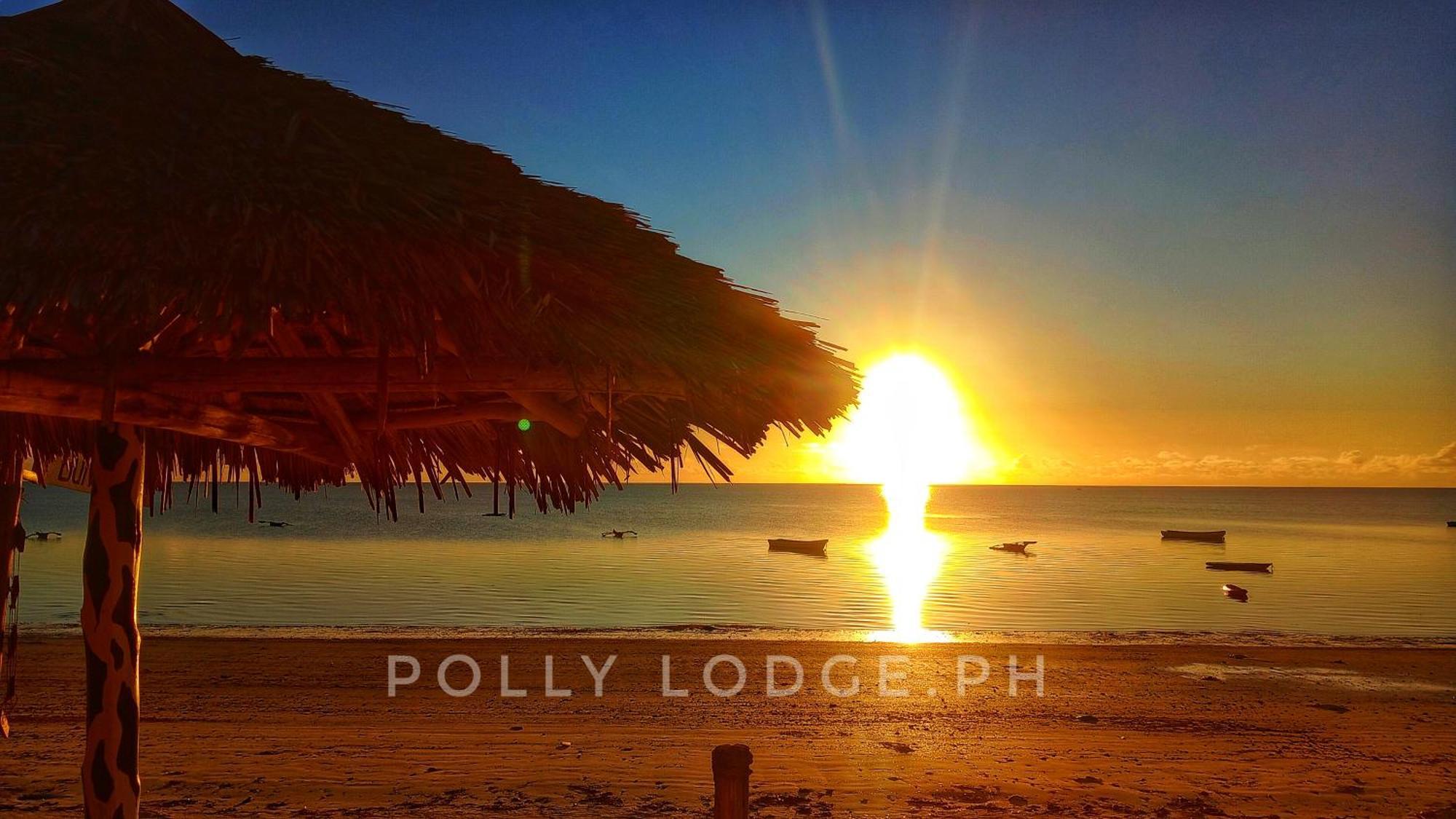 Polly Zanzibar