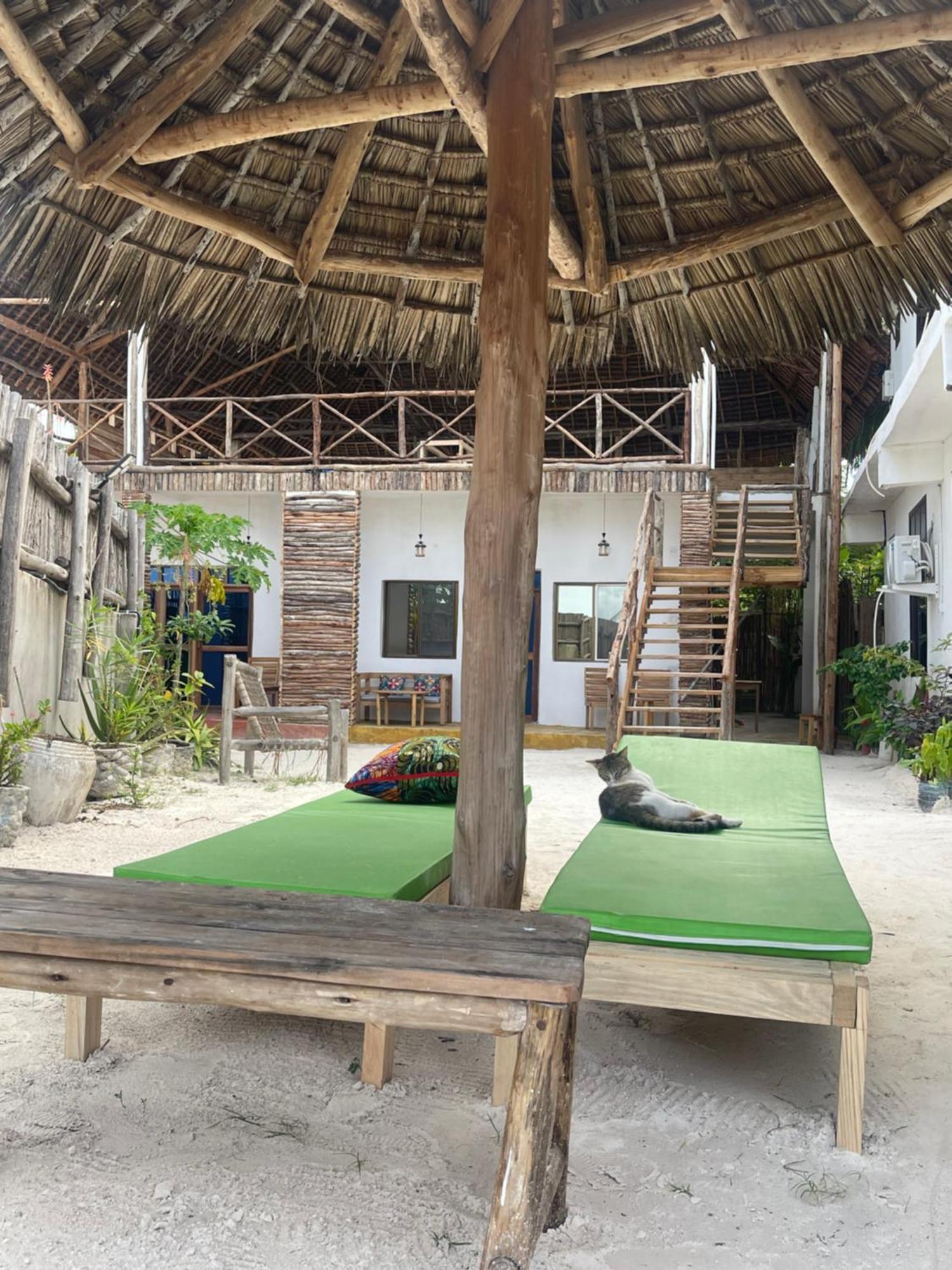 Zanzibar Escape 1&2 Accommodatie bij particulieren
