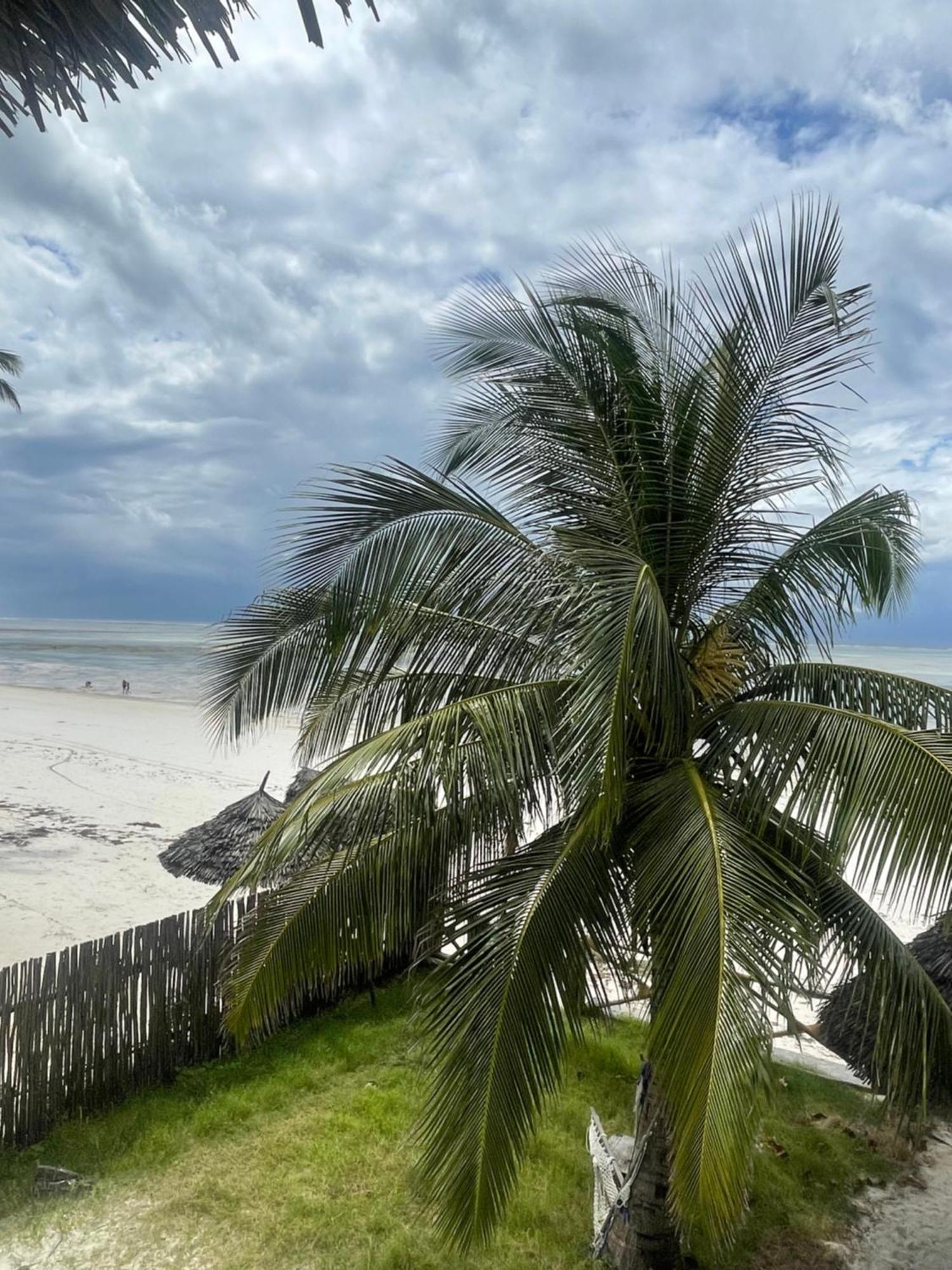 Zanzibar Escape 1&2 Accommodatie bij particulieren *