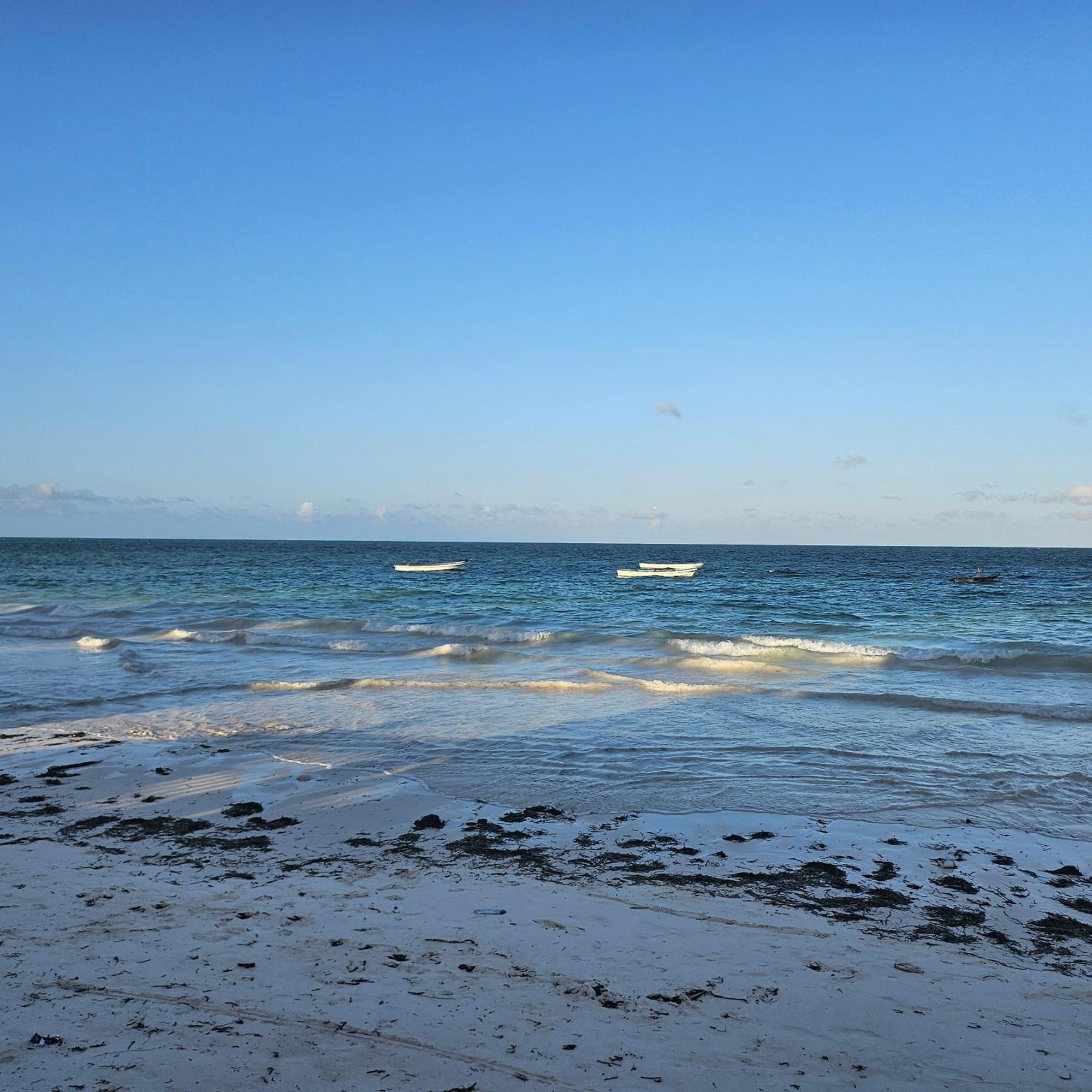 Oceanfront Oasis 2-bedroom Master In Uroa, Zanzibar