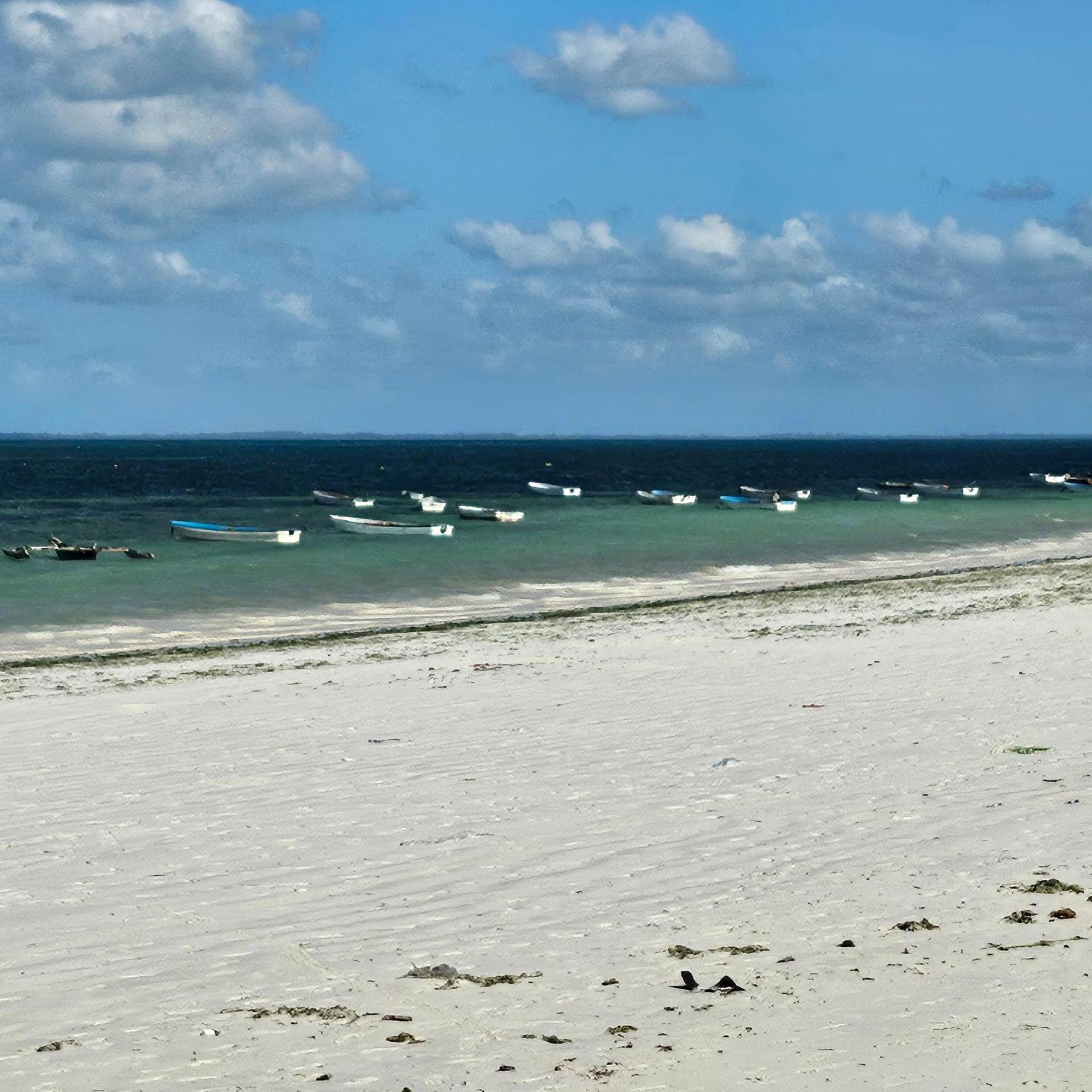 Oceanfront Oasis 2-bedroom Master In Uroa, Zanzibar Appartement *