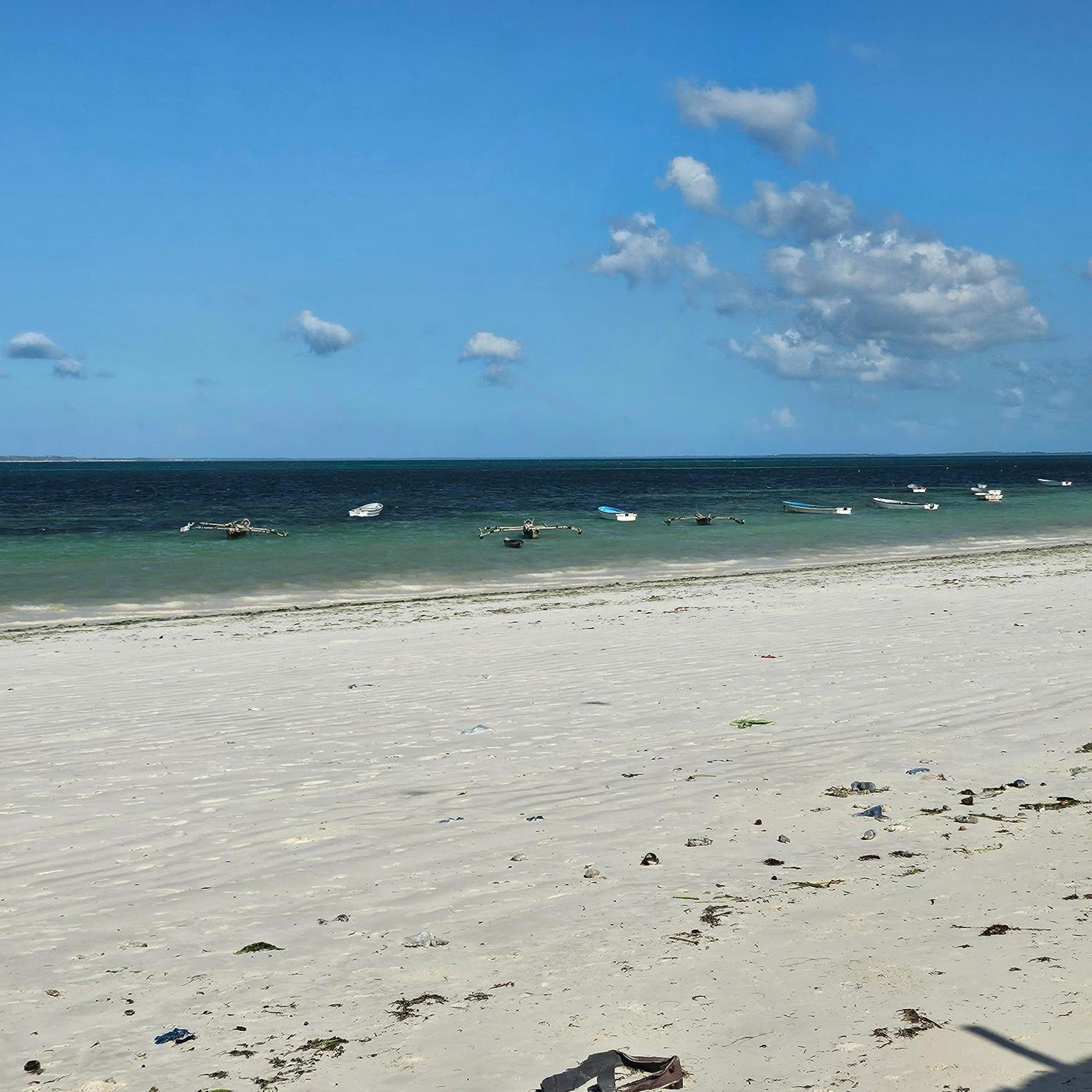 Oceanfront Oasis 2-bedroom Master In Uroa, Zanzibar Appartement Uroa