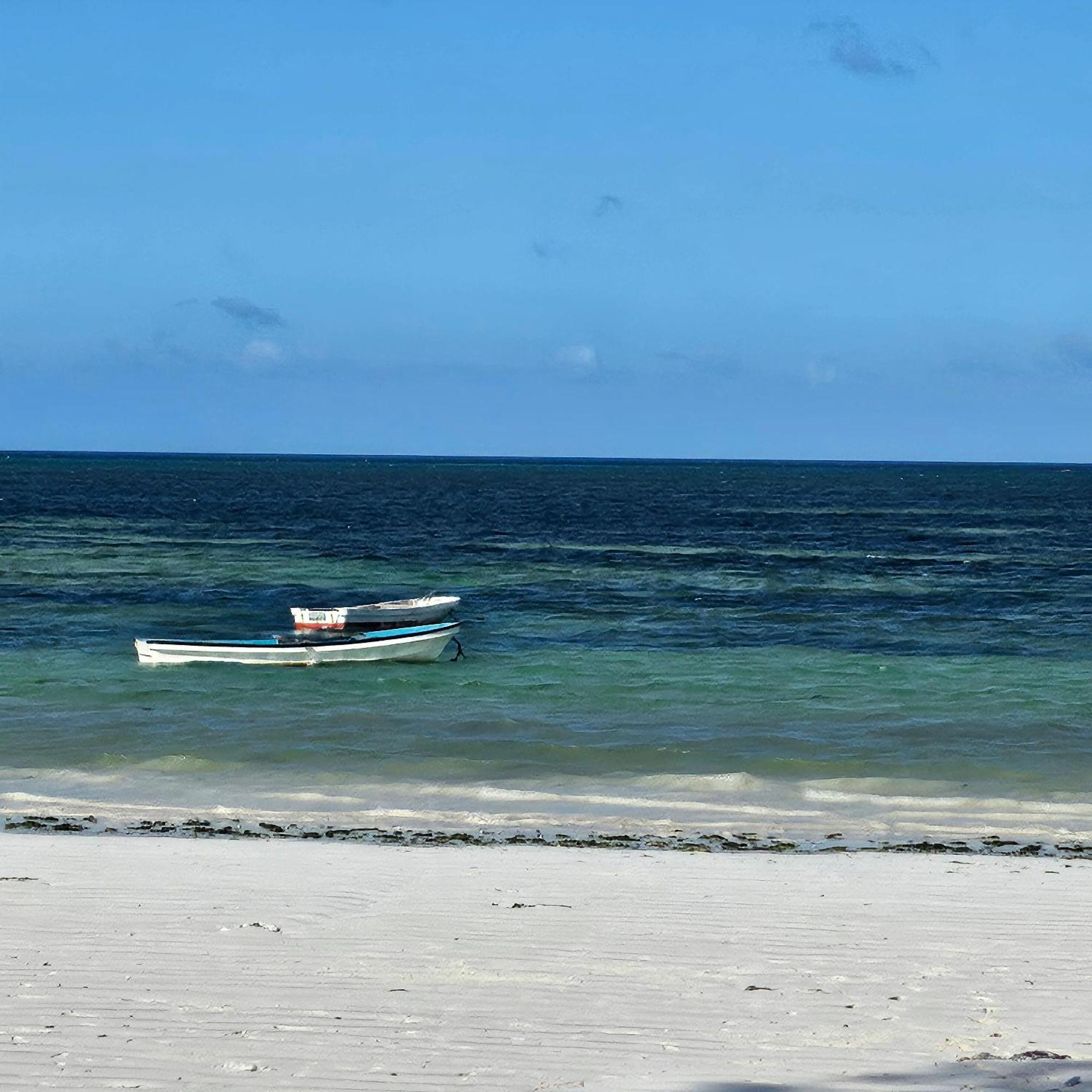 Appartement Oceanfront Oasis 2-bedroom Master In Uroa, Zanzibar Uroa