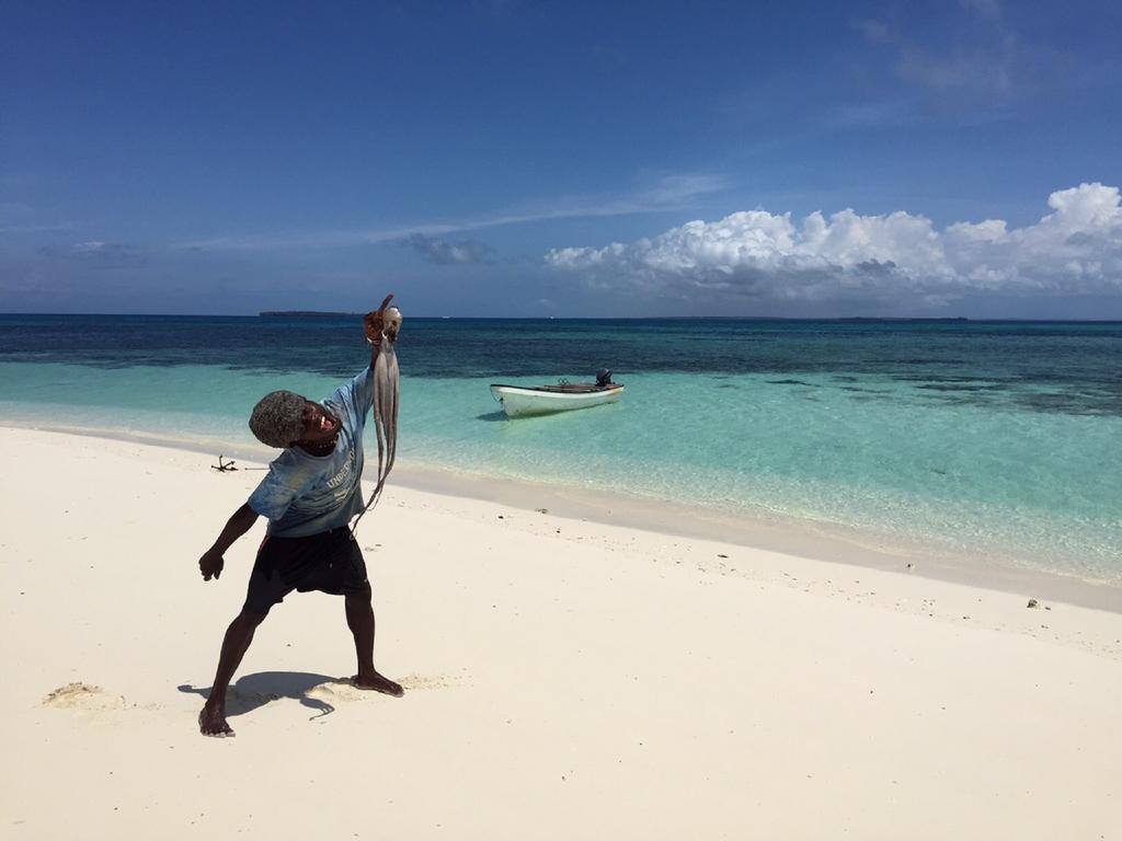 Villa Mwendawima Beach *