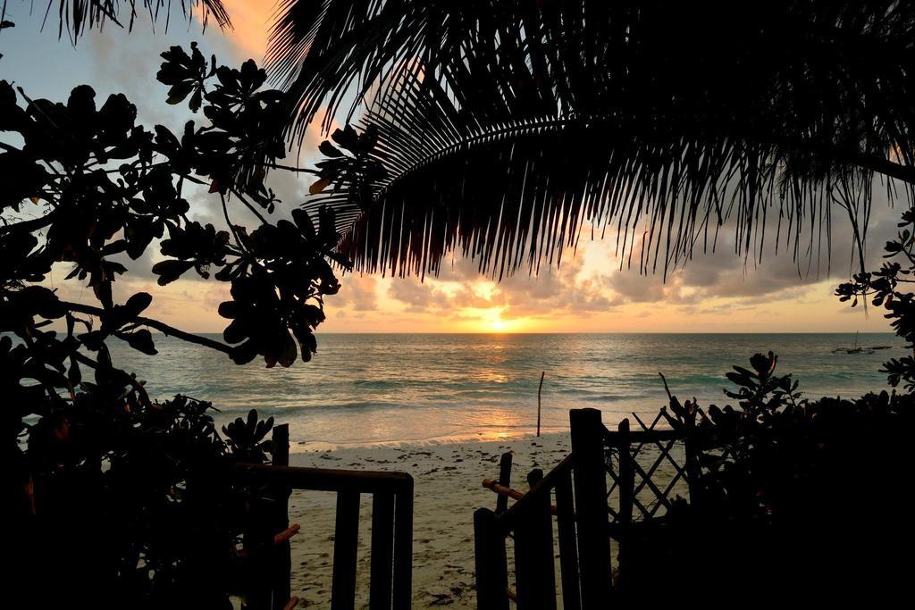 Kipepeo Zanzibar Jambiani (Zanzibar)
