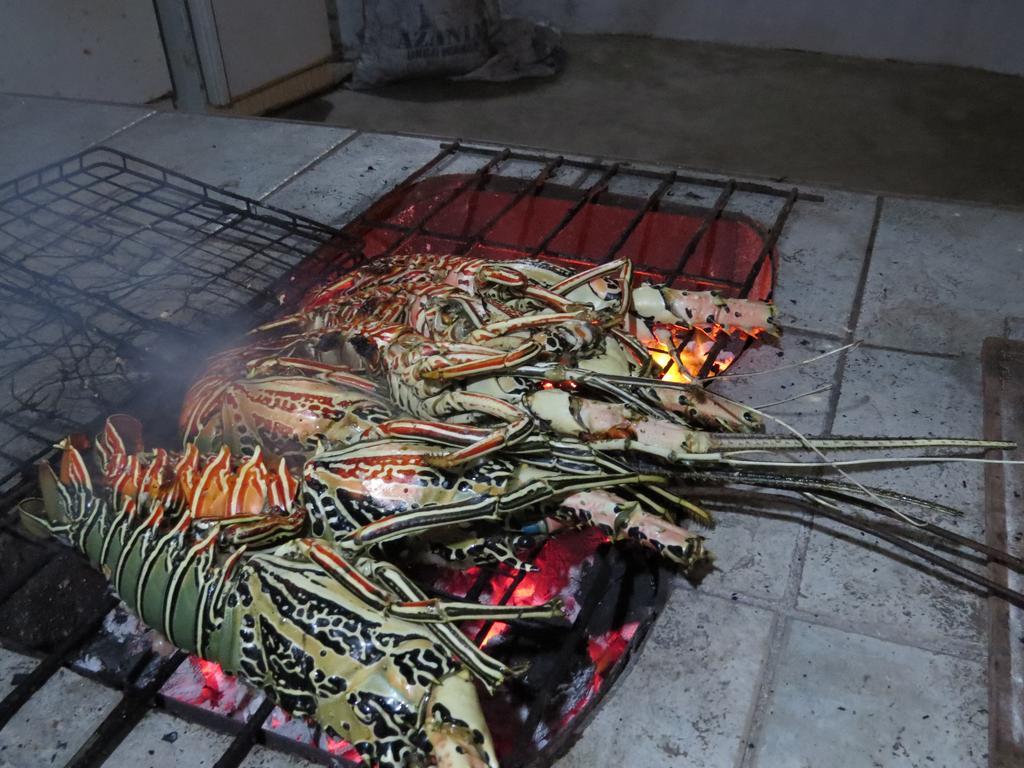 Game Fish Nungwi