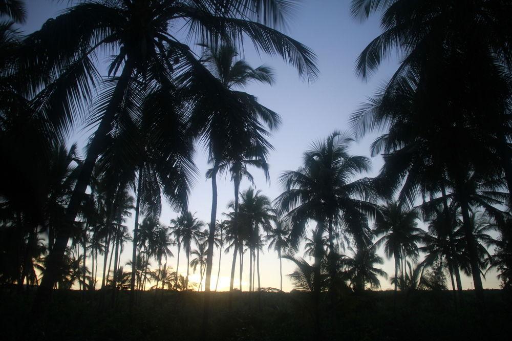 Zanzibar House Boutique Guest house 3*
