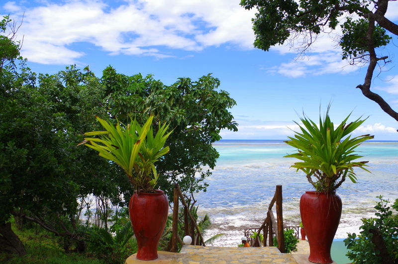 Resort Pearl Resort&spa Zanzibar Michamvi