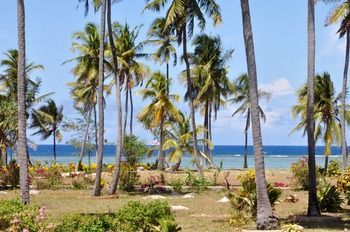 Dongwe Beach Bungalows Dongwe