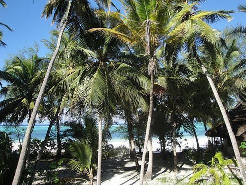 Panga Chumvi 3* Matemwe (Zanzibar)