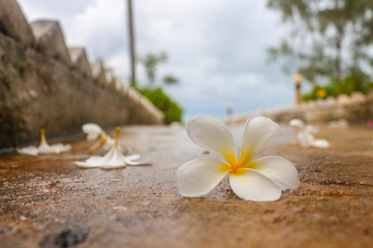 Hotel Mermaids Cove & Uroa