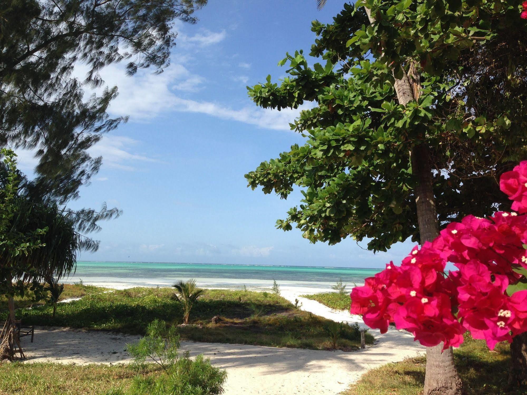 The Cove Hotel
