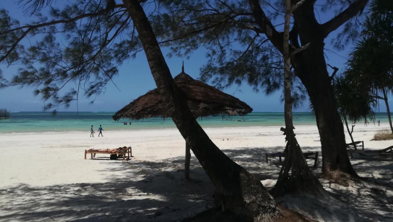 Maisha Marefu Apartment Kiwengwa (Zanzibar)