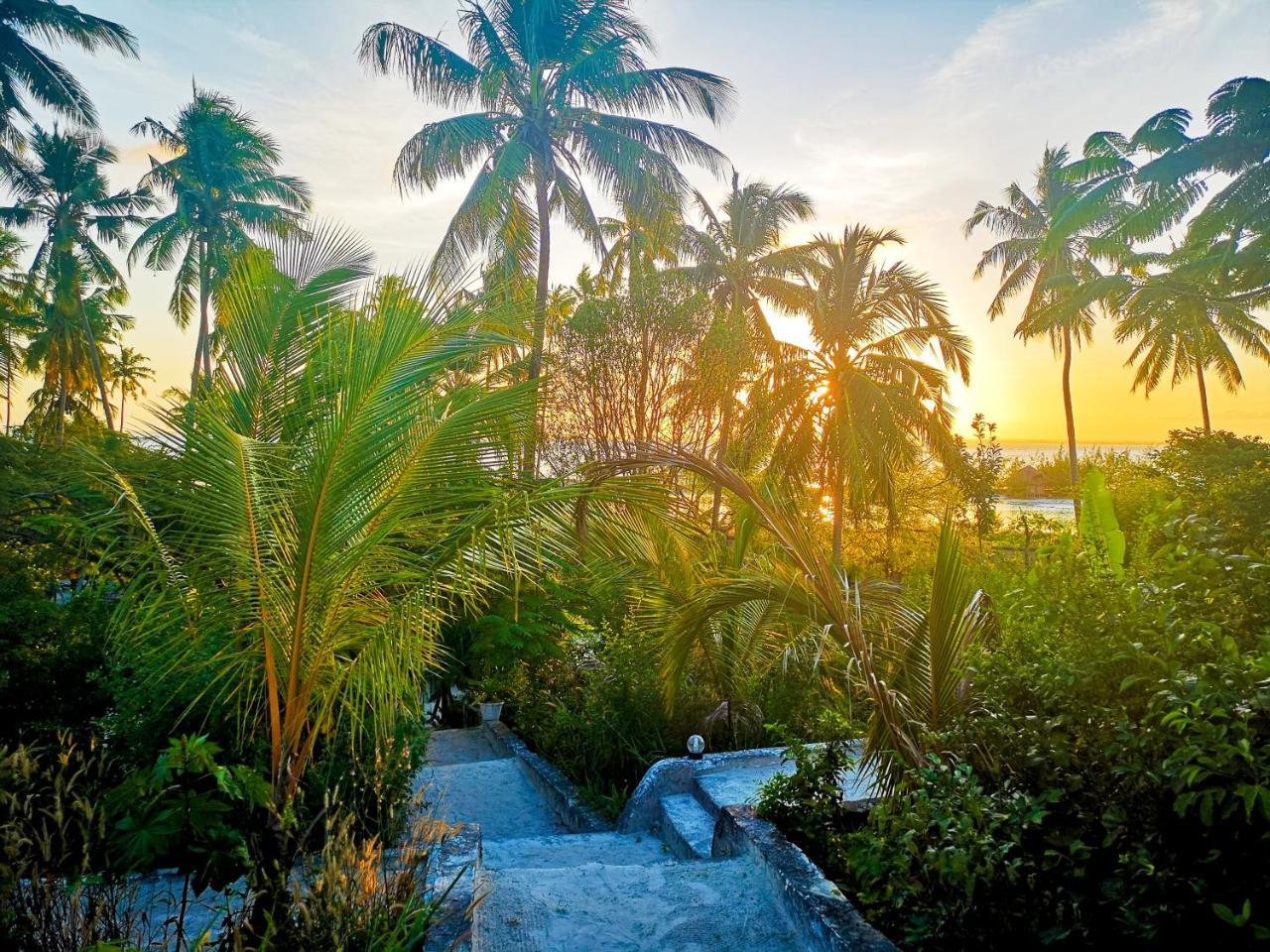 Kae Funk Zanzibar 3*