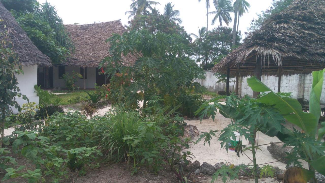 Kaskazi Beach Bed & Breakfast