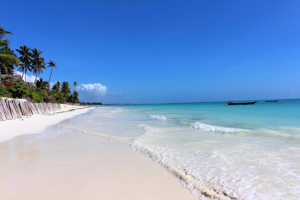Blue Oyster 2* Jambiani (Zanzibar)