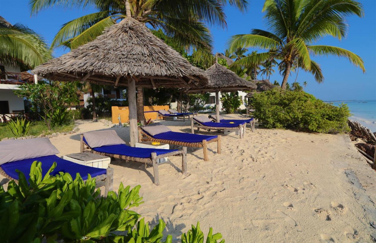 Blue Oyster 2* Jambiani (Zanzibar)