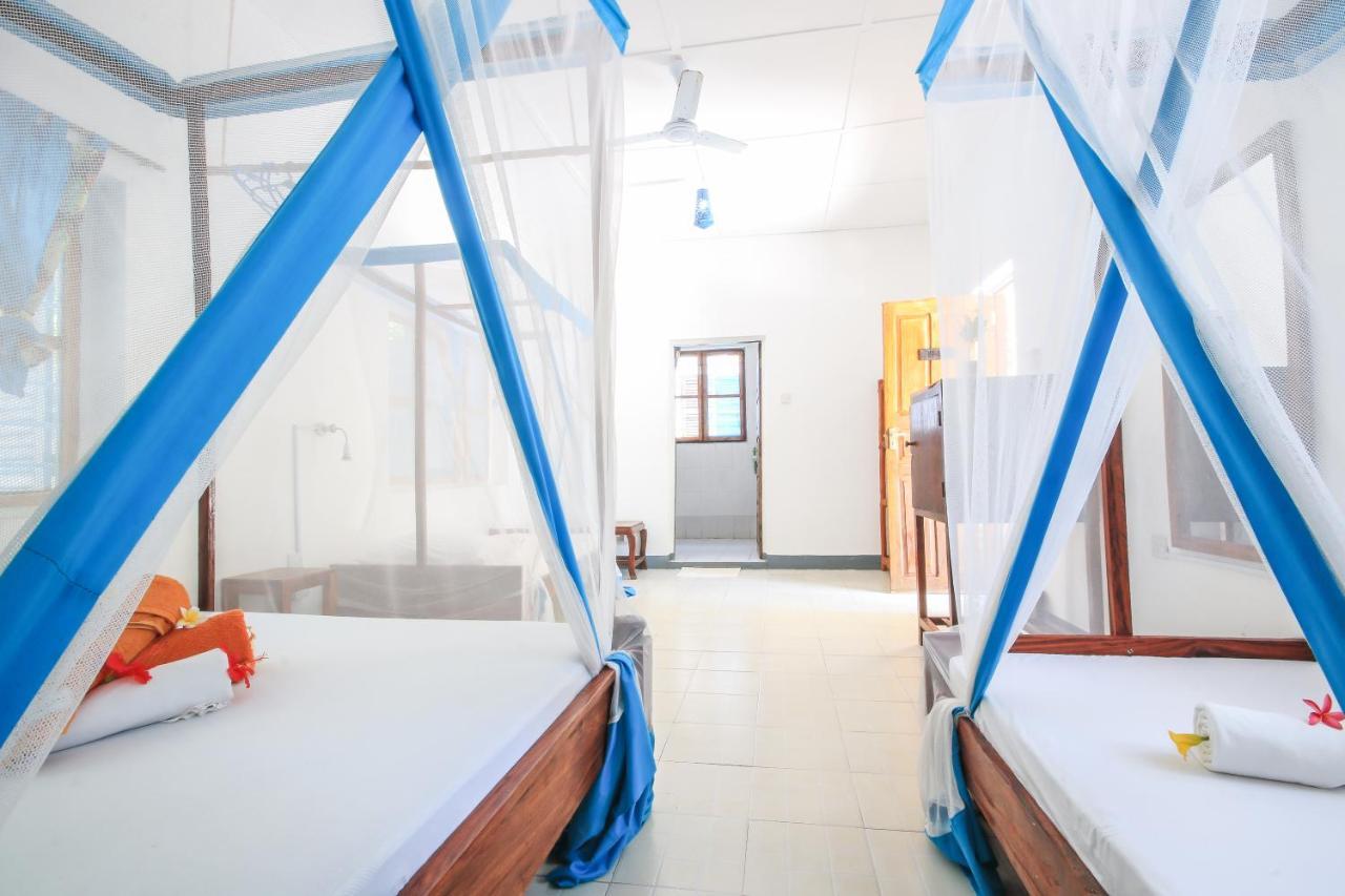 New Teddy's On The Hostel *