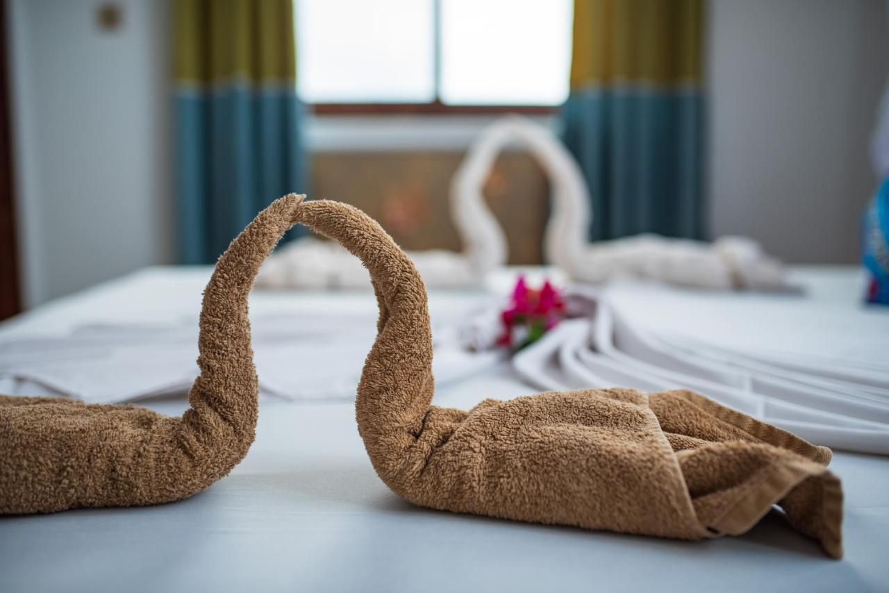 Mocco Bed & Breakfast Kendwa
