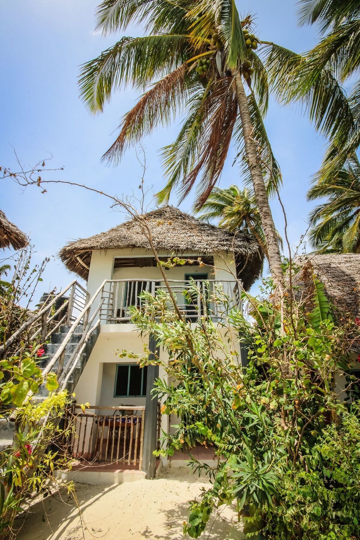 Blue Reef Sport And Fishing & Jambiani (Zanzibar)