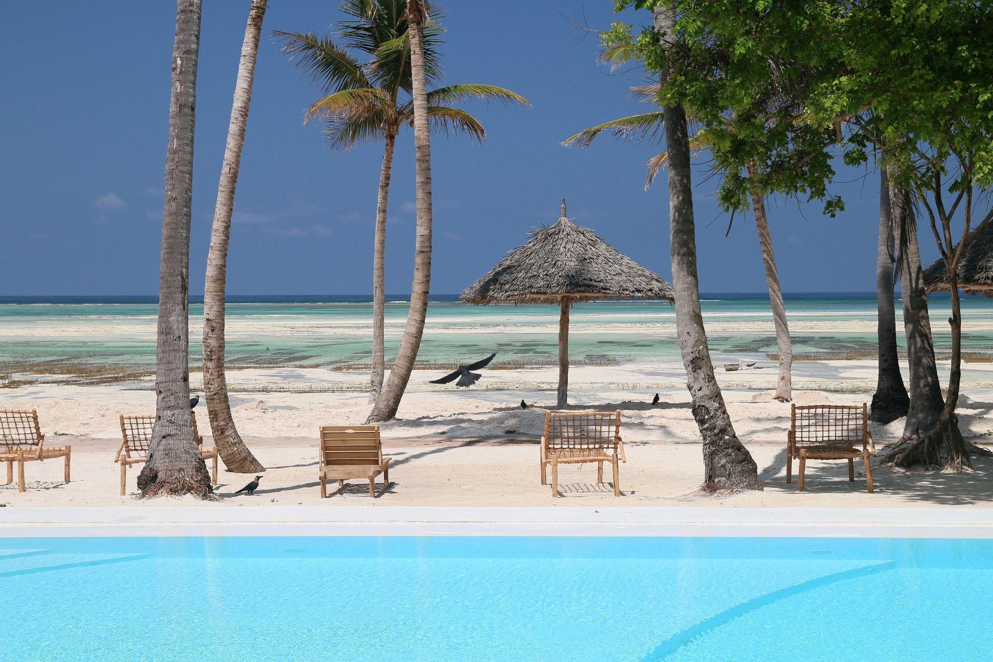 Hotel Blue Moon 4*