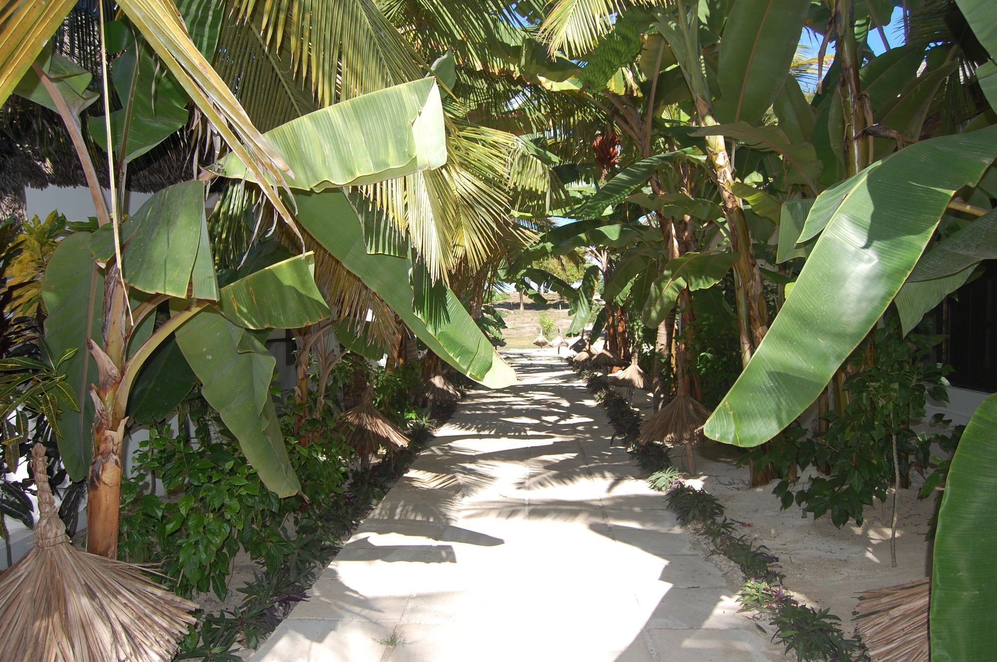 Blue Moon Jambiani (Zanzibar)