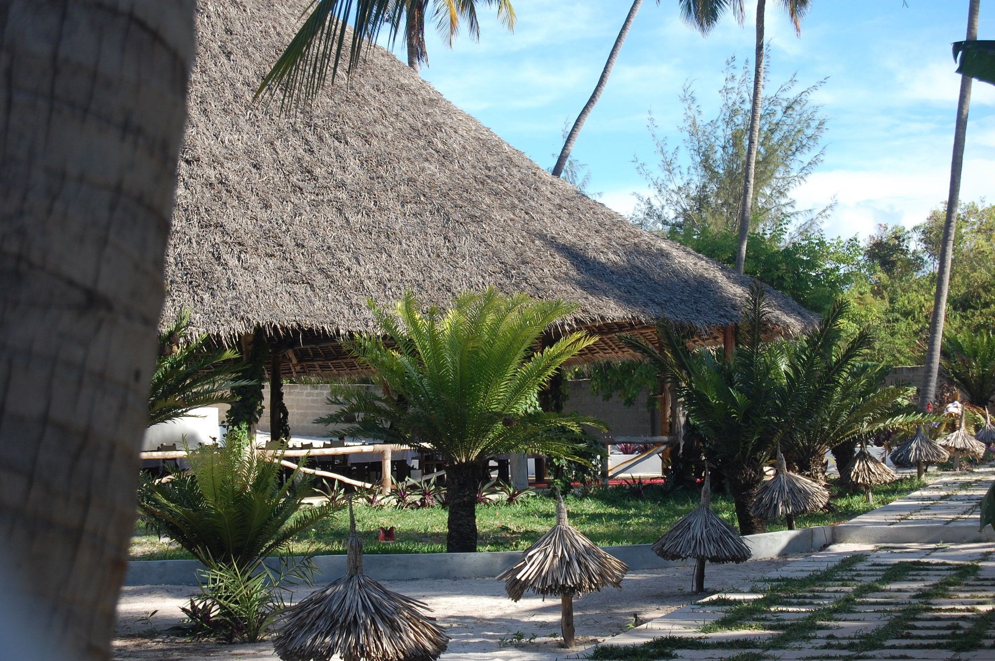 Blue Moon 4* Jambiani (Zanzibar)
