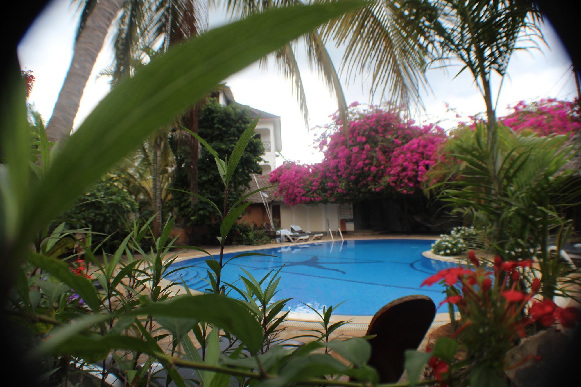 Hotel Langi Langi