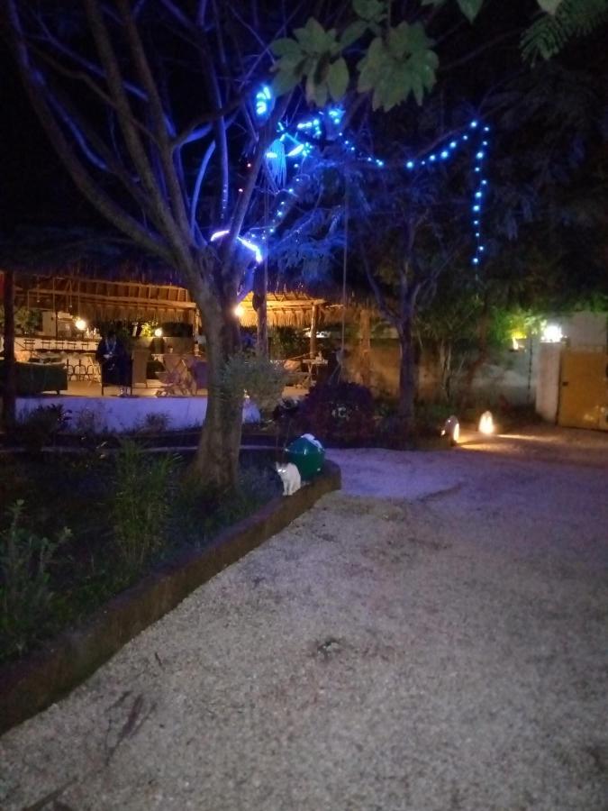 Hotel Pasha