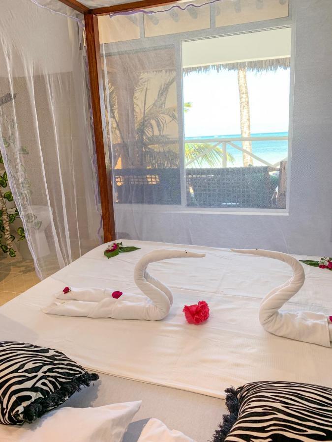 The African Paradise 3*