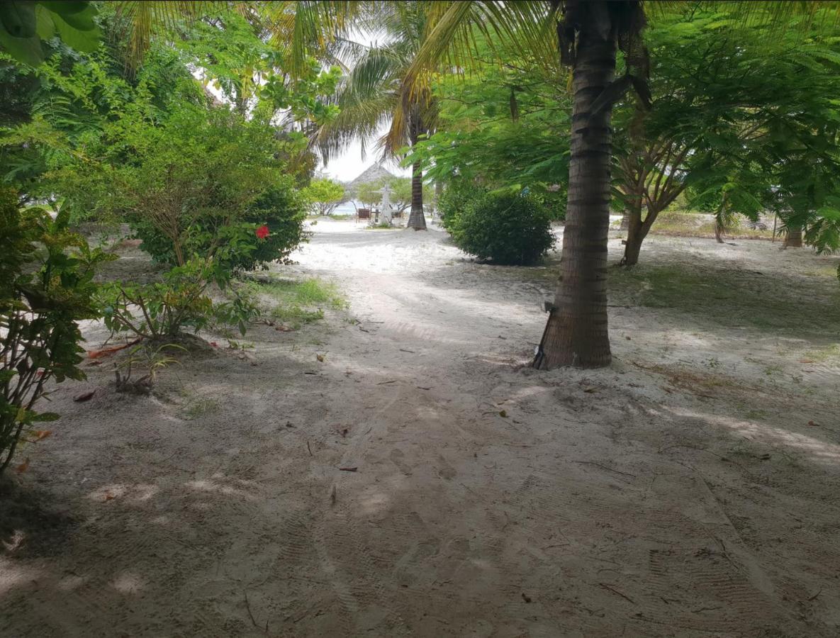 Kilimani Kwetu Beach Bwejuu