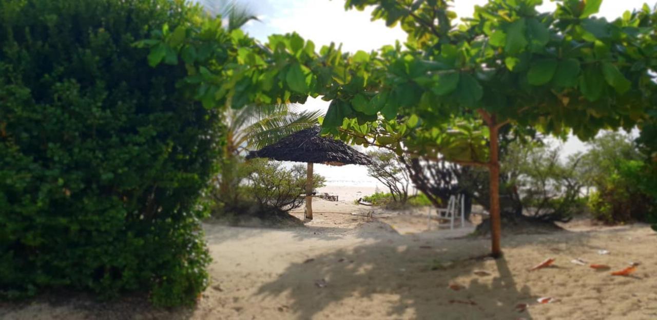 Kilimani Kwetu Beach * Bwejuu